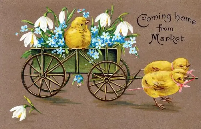 Stampa con cornice : Custodie / Easter / Polli Stampa con cornice : Custodie / Easter / Polli