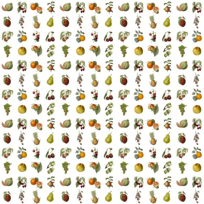 Stampa con cornice : Modello Ripetuto - Frutta Variata Stampa con cornice : Modello Ripetuto - Frutta Variata