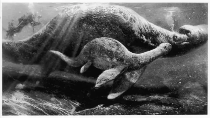 Stampa con cornice : Mostro del Loch Ness