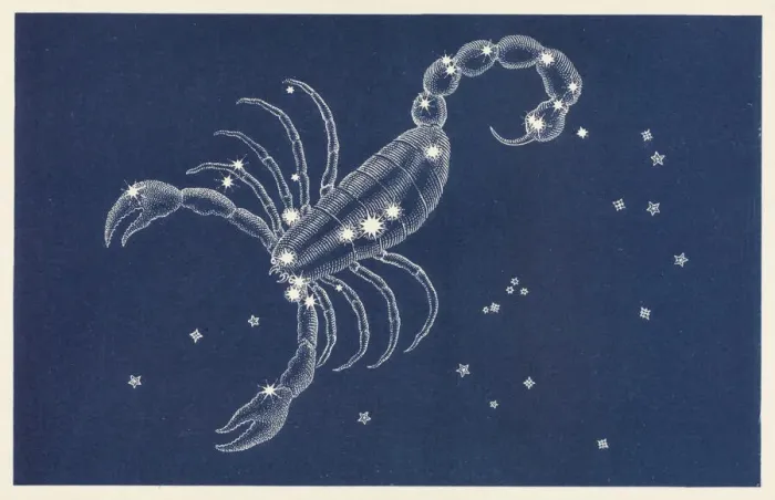 Stampa con cornice : Scorpio. La Costellazione dello Scorpione Stampa con cornice : Scorpio. La Costellazione dello Scorpione