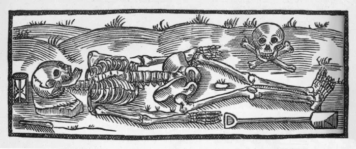 Stampa con cornice : Osso e Cranio Stampa con cornice : Osso e Cranio
