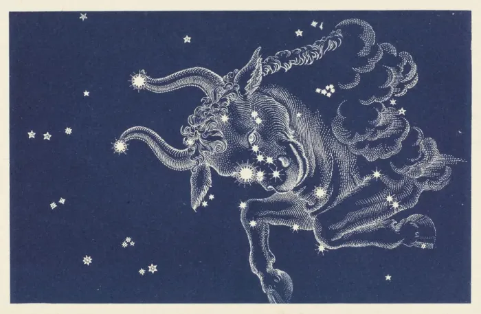Stampa con cornice : Taurus. La Costellazione di Tauri Stampa con cornice : Taurus. La Costellazione di Tauri