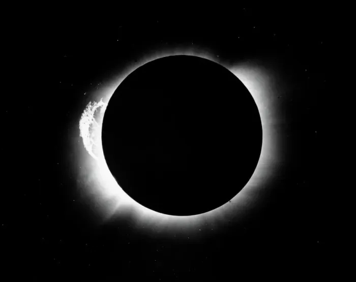 Stampa con cornice : Eclissi solare del 1919