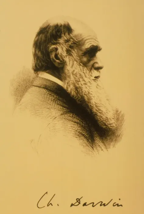 Stampa con cornice : Charles Robert Darwin Stampa con cornice : Charles Robert Darwin
