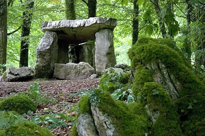 Stampa con cornice : Dolmen. Il dolmen al Craggaunowen Project nella Contea di Clare, Irlanda Stampa con cornice : Dolmen. Il dolmen al Craggaunowen Project nella Contea di Clare, Irlanda