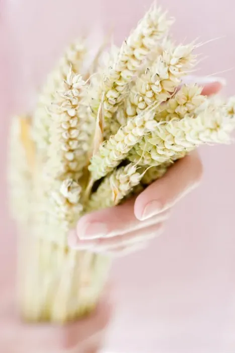 Stampa con cornice : Orecchie di grano