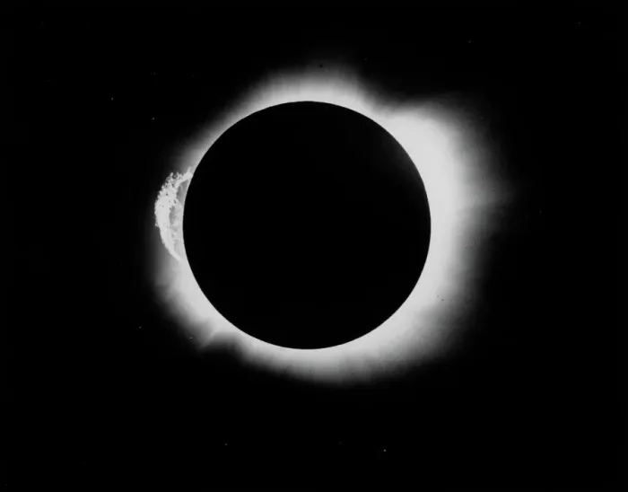 Stampa con cornice : Eclissi solare del 1919 Stampa con cornice : Eclissi solare del 1919