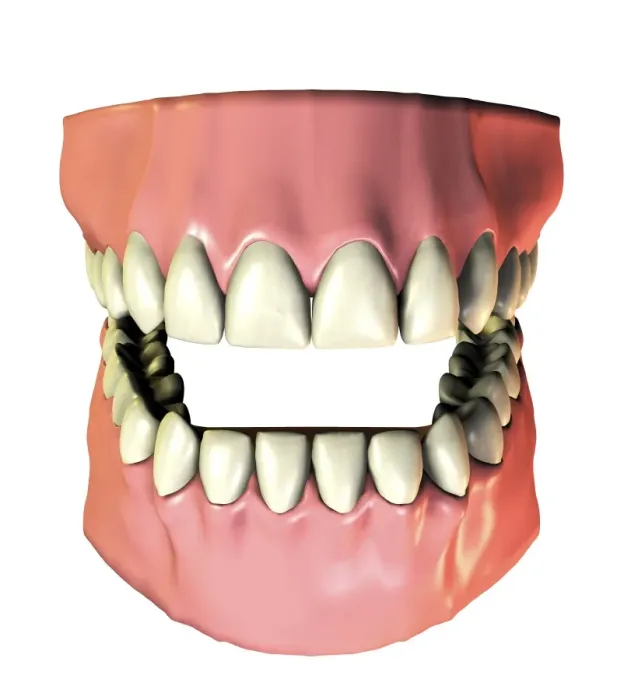 Stampa con cornice : Denti e gengive