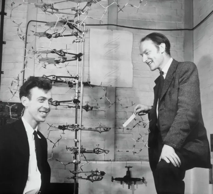 Stampa con cornice : Watson e Crick con il loro modello di DNA