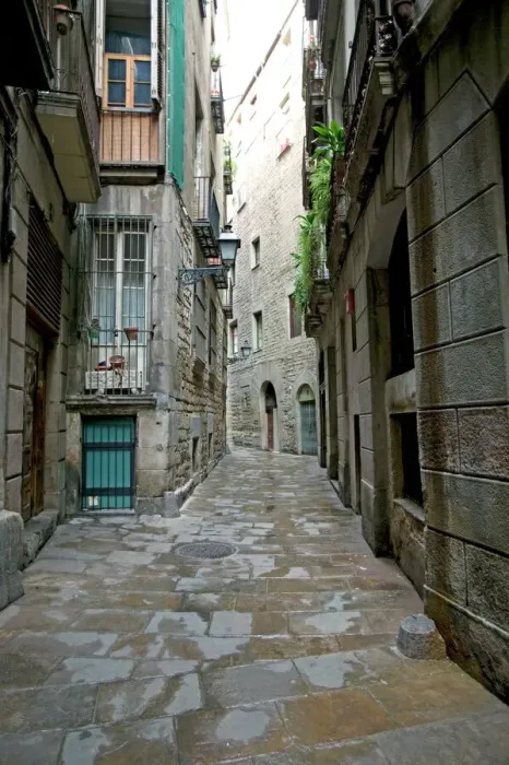 Stampa con cornice : Quartiere Gotico Stampa con cornice : Quartiere Gotico