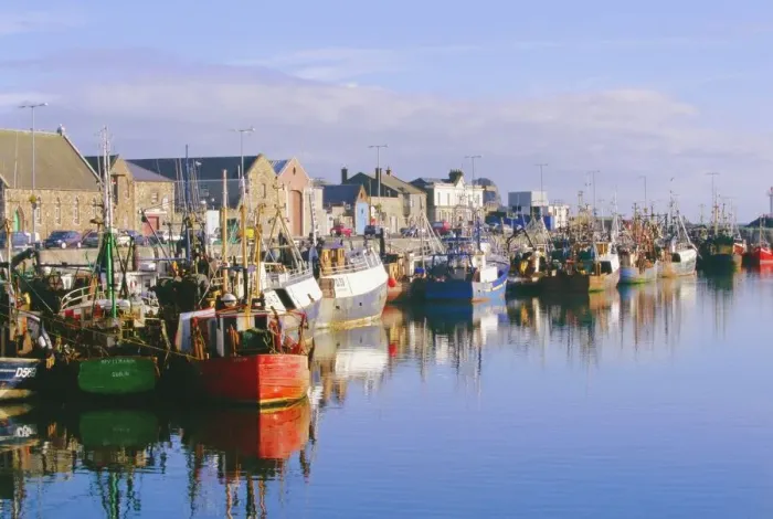 Stampa con cornice : Porto di Howth Stampa con cornice : Porto di Howth