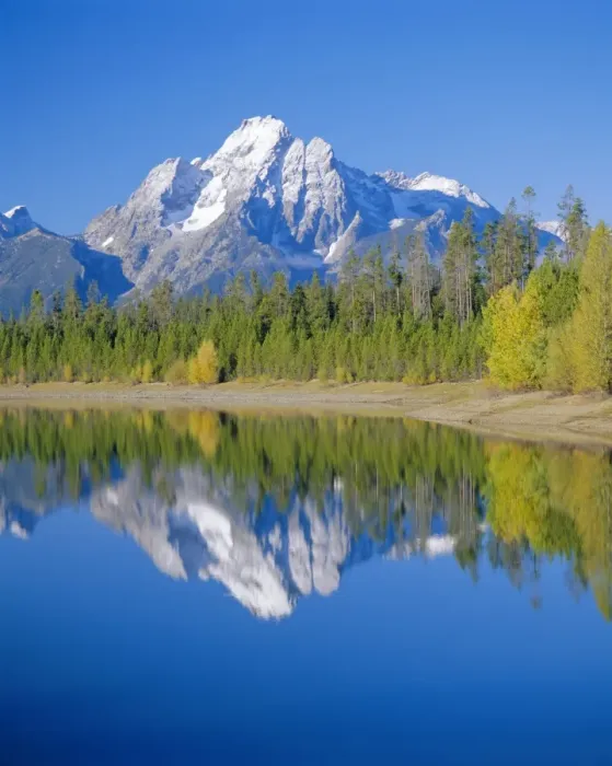 Stampa con cornice : Lago Jackson