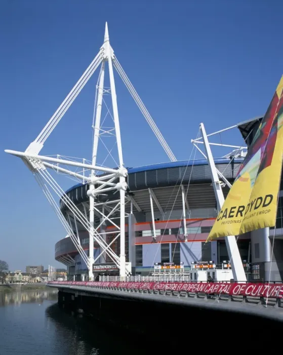 Stampa con cornice : Stadio del Millennio Stampa con cornice : Stadio del Millennio