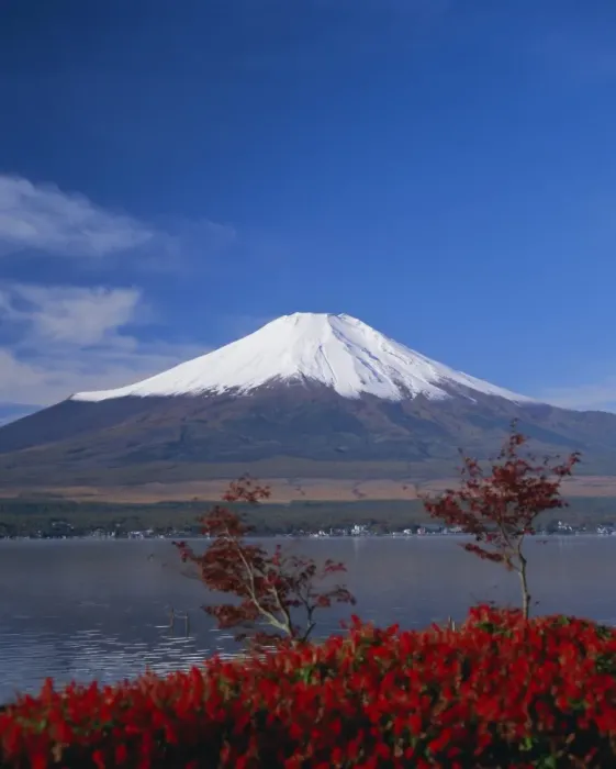Stampa con cornice : Monte Fuji Stampa con cornice : Monte Fuji