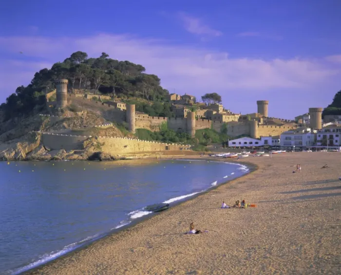 Stampa con cornice : Tosso di Mare Stampa con cornice : Tosso di Mare