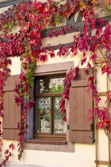 Stampa con cornice : Colditz, Germania.