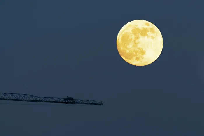 Stampa con cornice : Luna e gru. Stampa con cornice : Luna e gru.