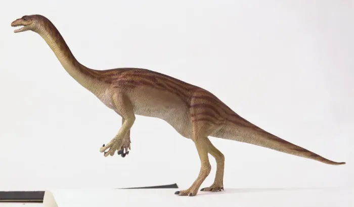 Stampa con cornice : Caratteristiche esterne di un Anchisaurus. Stampa con cornice : Caratteristiche esterne di un Anchisaurus.