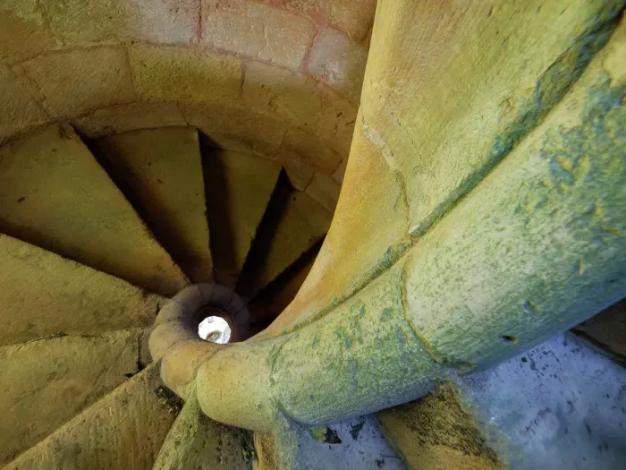 Stampa con cornice : Fibonacci. Scala a chiocciola nel monastero cistercense di Santa Maria de Rioseco