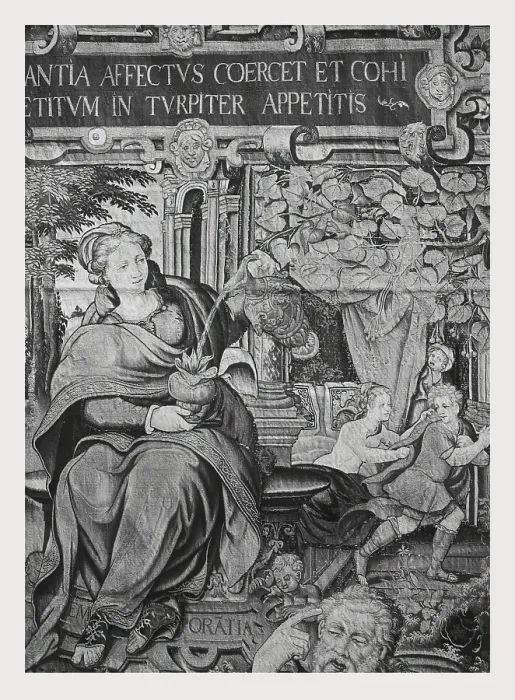 Stampa con cornice : Temperance