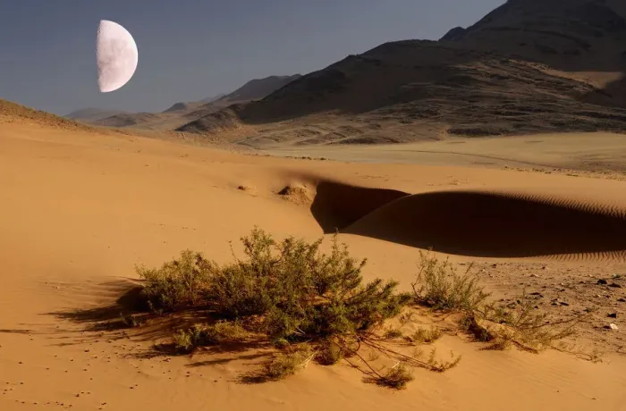 Stampa con cornice : Desert. Dune di Sabbia, Safari Wilderness di Serra Cafema al fiume Kunene