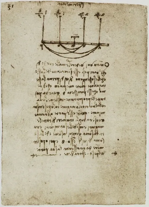 Stampa con cornice : Leonardo da Vinci's Print of Physical Observations