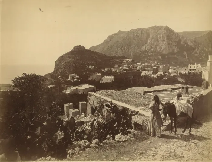 Stampa con cornice : Stampa con cornice :