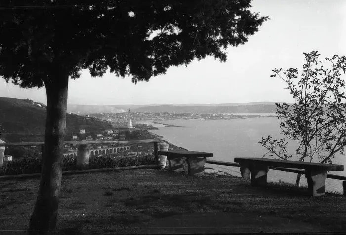 Stampa con cornice : Print of Veduta di Trieste