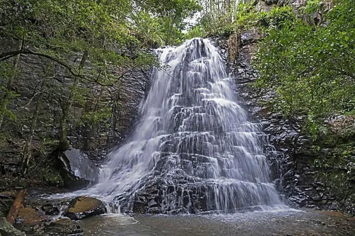 Stampa con cornice : 39 Passi, cascata a Hogsback. Stampa con cornice : 39 Passi, cascata a Hogsback.