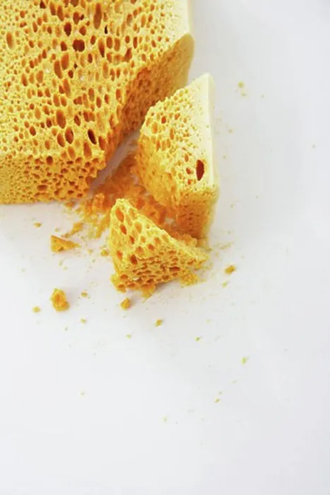 Stampa con cornice : Tofu di Spugna
