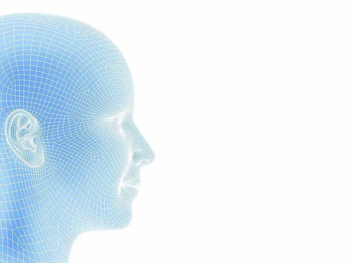 Stampa con cornice : Testa di wireframe, artefatto computerizzato.