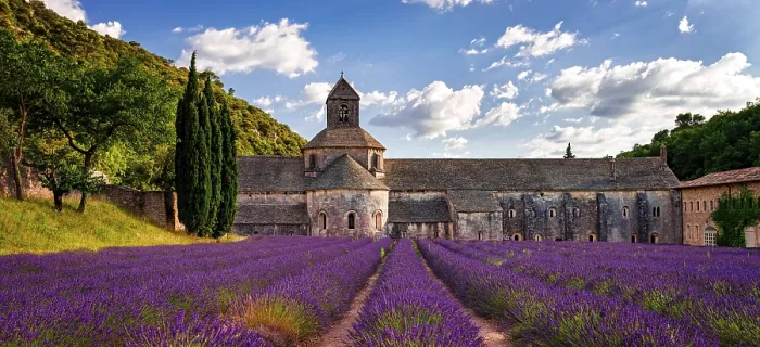 Stampa con cornice : Abbey