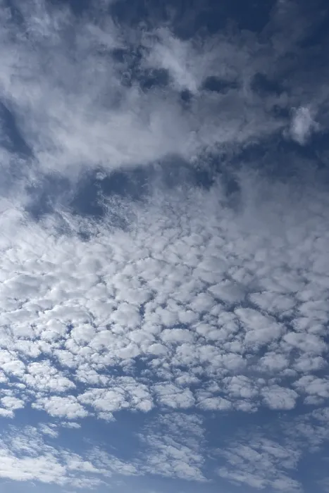 Stampa con cornice : Nubi altocumuli (Altocumulus).