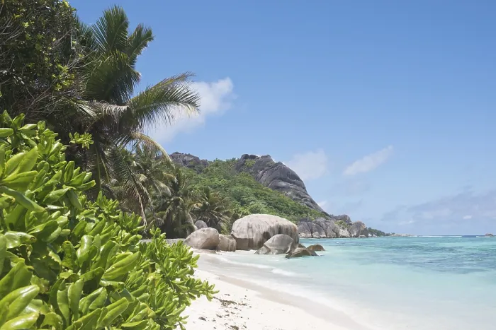 Stampa con cornice : Spiaggia di Anse Source d'Argent Stampa con cornice : Spiaggia di Anse Source d'Argent