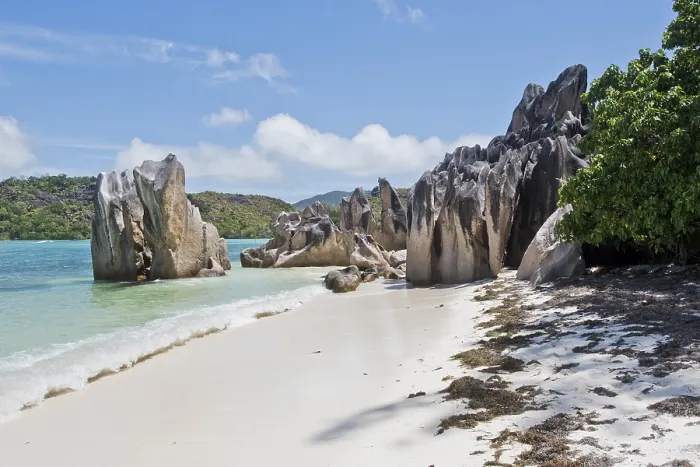 Stampa con cornice : Spiaggia di Anse Source d'Argent Stampa con cornice : Spiaggia di Anse Source d'Argent