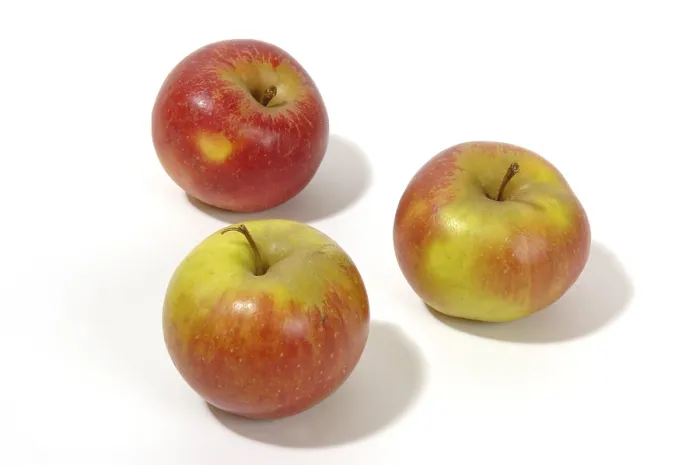 Stampa con cornice : Apples Stampa con cornice : Apples