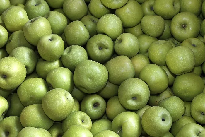 Stampa con cornice : Apples