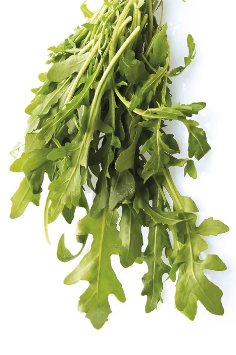 Stampa con cornice : Arugula