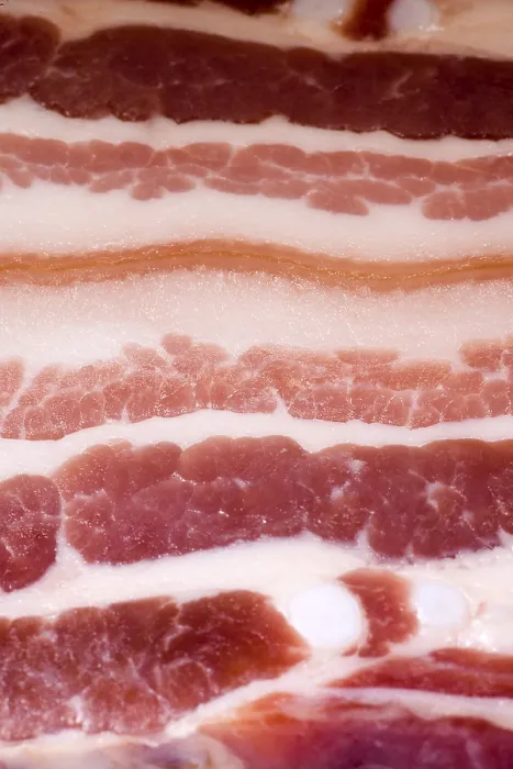 Stampa con cornice : Bacon