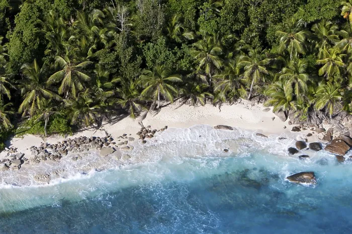 Stampa con cornice : La spiaggia Anse Cachee a Pointe Golette. Stampa con cornice : La spiaggia Anse Cachee a Pointe Golette.