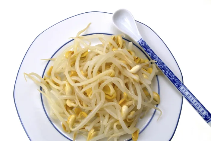 Stampa con cornice : Fagioli germogliati.