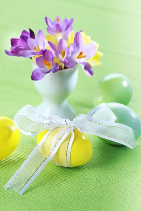 Stampa con cornice : Crocus belli per Pasqua e uova. Stampa con cornice : Crocus belli per Pasqua e uova.