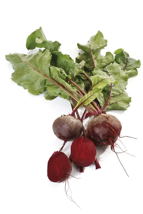 Stampa con cornice : Beetroot Stampa con cornice : Beetroot