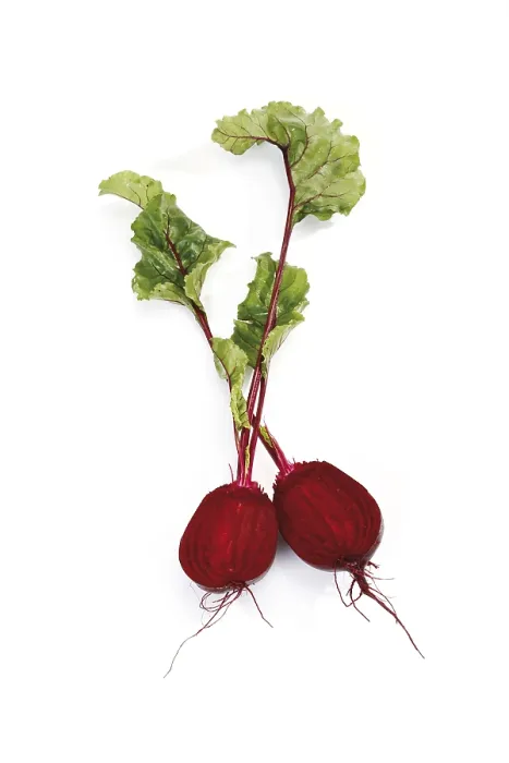 Stampa con cornice : Beetroot Stampa con cornice : Beetroot