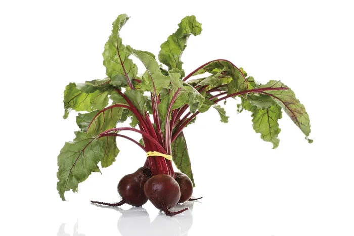 Stampa con cornice : Beetroot Stampa con cornice : Beetroot