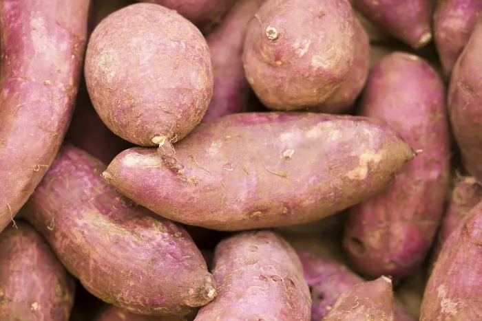 Stampa con cornice : Beetroot