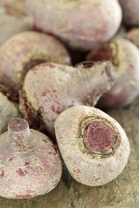 Stampa con cornice : Beetroots Stampa con cornice : Beetroots