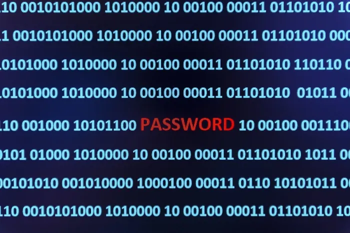 Stampa con cornice : Codice binario con la parola Password. Stampa con cornice : Codice binario con la parola Password.