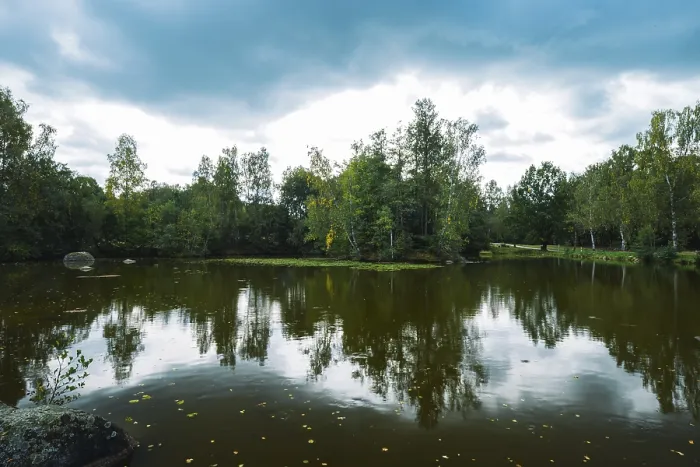 Stampa con cornice : Lago Blockheide con riflesso.