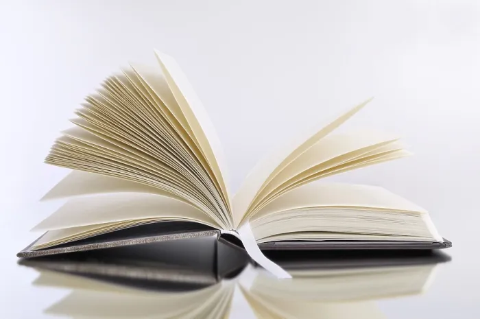 Stampa con cornice : Book Stampa con cornice : Book